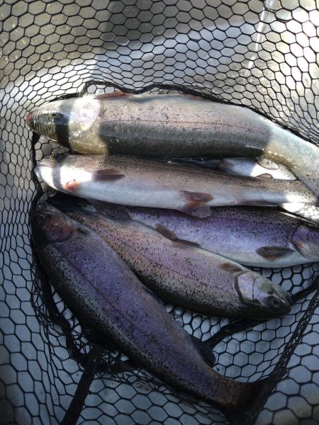 濁りの強さに苦戦